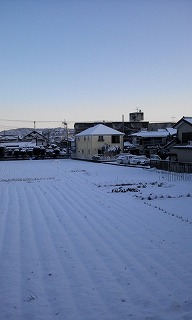 この冬一番・・・?