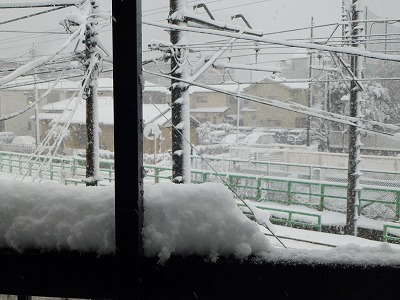 先月より大雪・・・