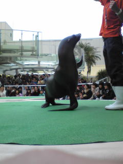 池袋サンシャイン