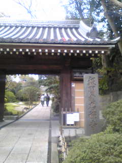 鎌倉 報国寺