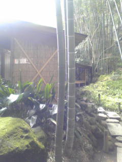 鎌倉 報国寺