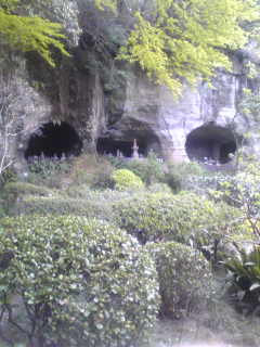 鎌倉 報国寺