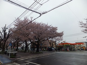 冷たい雨とティーカップ