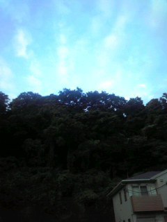 雨上がりの夕方